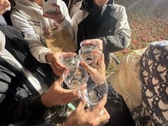 -南宁花花大世界景区