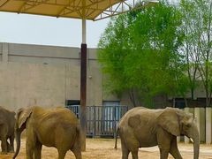 -鄂尔多斯野生动物园