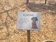 -北京西山国家森林公园