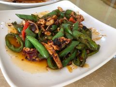 青椒鱿鱼-鹏城人家海鲜酒家·23年老字号(较场尾店)