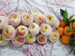 -回头客精品果业(西门店)