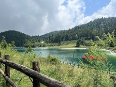 -武陵山森林公园