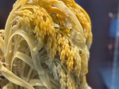 -青田石雕博物馆