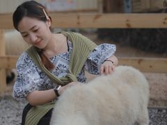 -HERRE·FARM 赫尔露营农场·团建聚会包场