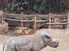 -长鹿旅游休博园