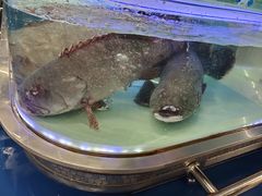-盒马X会员店(上海森兰商都店)