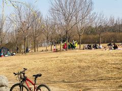 -马家湾湿地公园