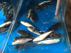 -大唐名家·息壤店
