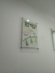 -凡碧诗毛孔清洁收细