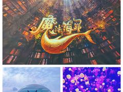 -海合安天津极地海洋公园
