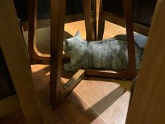 -H立方实景剧情密室(天河旗舰店)