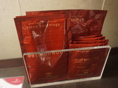 -京都全日空皇冠假日酒店