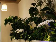 -Fruiffee Cafe 果啡派