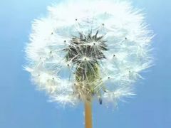 -晋B2008刀削面(小南庄店)