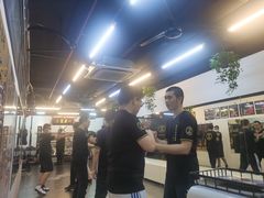 -温鉴良实用咏春拳