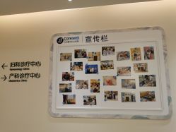 点击看大图 -杭州医学院附属妇儿医院