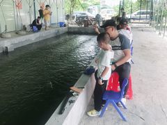 -会江钓鱼钓虾烧烤场