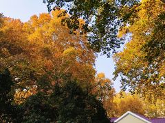 -河南省黄河迎宾馆