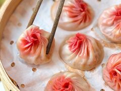 -苏小柳手作点心x茶叙小院(徐家汇分院)