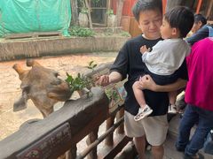 -长鹿旅游休博园