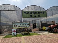 -新地休闲农场