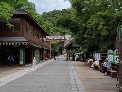 -野象谷景区