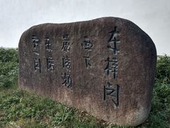 -东梓关景区村庄