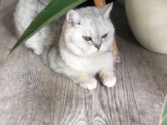 -小时光咖啡馆(北锣鼓巷店)