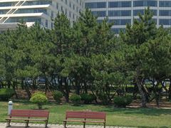 -日照灯塔风景区