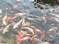 -宝界山林公园