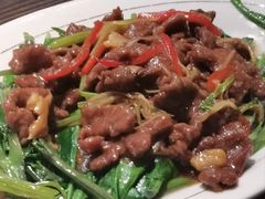 潮汕沙茶牛肉炒芥兰-大洋家·精品潮汕菜·生腌砂锅粥(天河东路店)