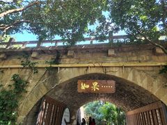 -亚龙湾热带天堂森林公园
