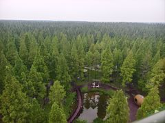 -黄海国家森林公园