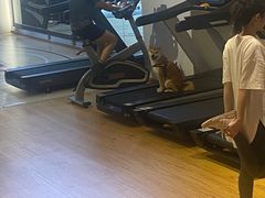 -YCHL Studios健身工作室(市二宫店)