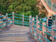 -广东惠东海龟国家级自然保护区