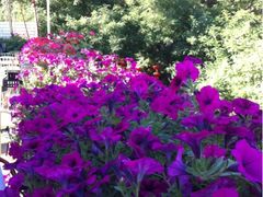 -北平国际青年旅舍(南锣鼓巷店)