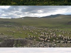 -新疆国际大巴扎