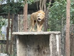 -清迈夜间动物园