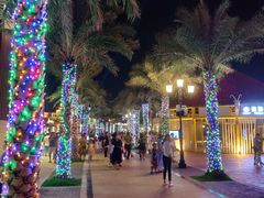 -三亚海昌梦幻海洋不夜城