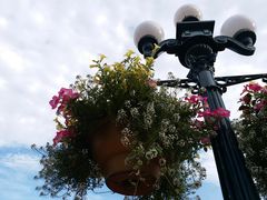 -巴黎迪士尼乐园