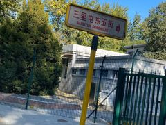 -三里屯东五街银杏大道