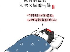 -熊猫不走蛋糕（同城送）(长沙店)