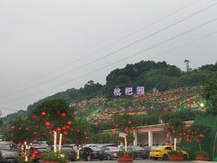 -枇杷园食为鲜火锅(南山店)