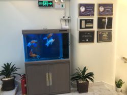 -海涛医疗美容·面部抗衰·注射美鼻