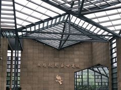 -西安大唐西市博物馆