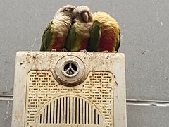 -正佳雨林生态植物园