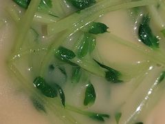豆汤碗豆苗-绿茶餐厅(布吉万象汇店)