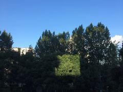 -西南政法大学(渝北校区)
