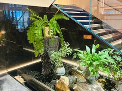 -连鹭海鲜·海肠捞饭·海胆饭(星海店)