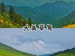 -秦岭风景区